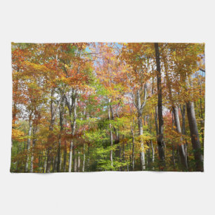 Fall Forest II Autumn Landscape Photography Kitchen Towel