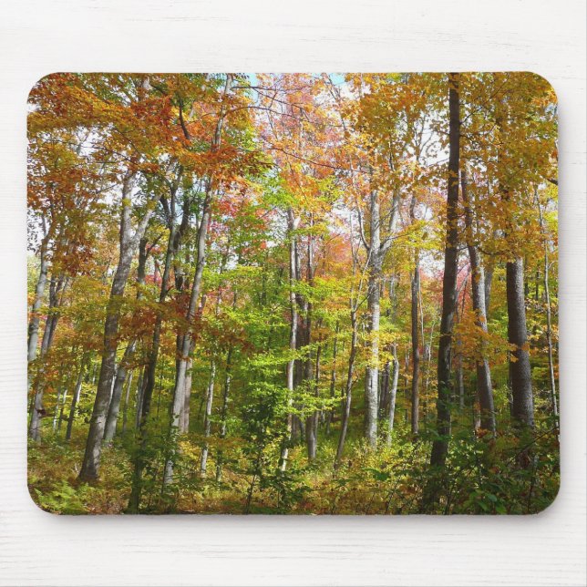 Fall Forest II Autumn Landscape Photography Mouse Pad (Front)