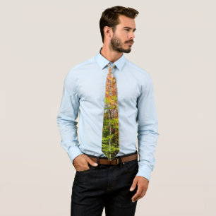 Fall Forest II Autumn Landscape Photography Tie