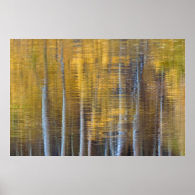 Fall Forest Reflection Abstract Poster (Front)