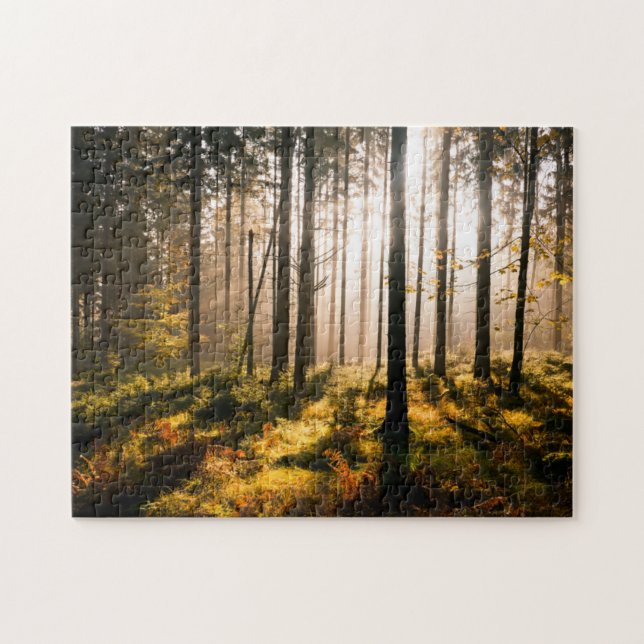 Fall Forest with Sunrays Jigsaw Puzzle (Horizontal)