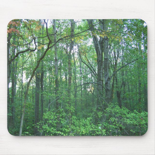 Fall Forestry Mouse Pad (Front)