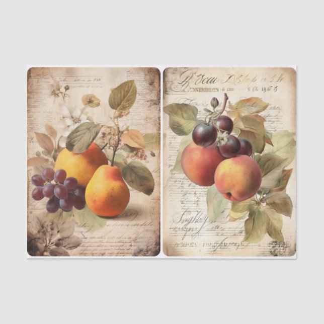 Fall Fruit Tissue Paper (Front)