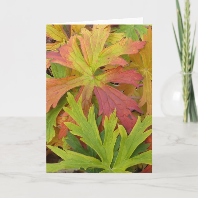 Fall Geranium Card (Front)