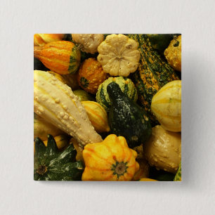 Fall Gourds 2 Inch Square Button