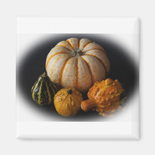Fall gourds and pumpkin magnet (Front)
