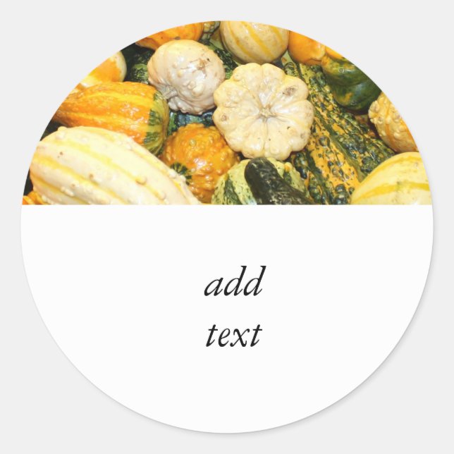 Fall Gourds & Mini Pumpkins Classic Round Sticker (Front)