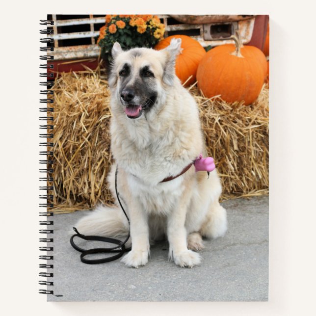 Fall GSD Notebook (Front)