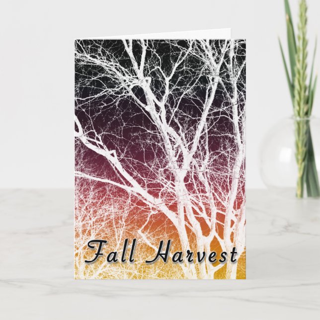 fall harvest : ghost tree invitation (Front)