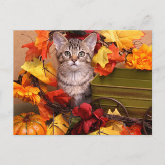 Fall Harvest Postcard