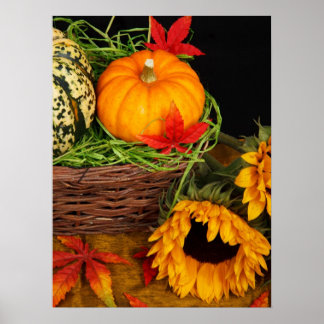 Fall Harvest Sunflowers   Poster