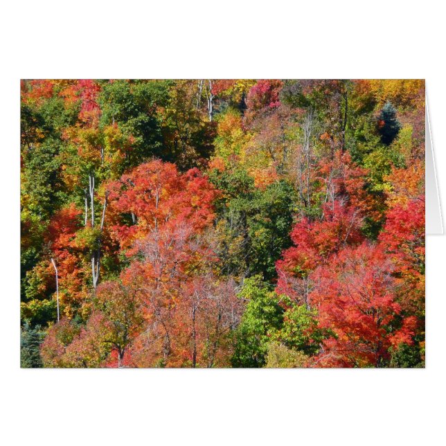 Fall Hillside Colourful Autumn Nature Photography (Front Horizontal)
