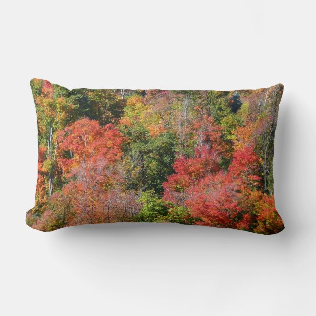 Fall Hillside Colourful Autumn Nature Photography Lumbar Pillow (Front)
