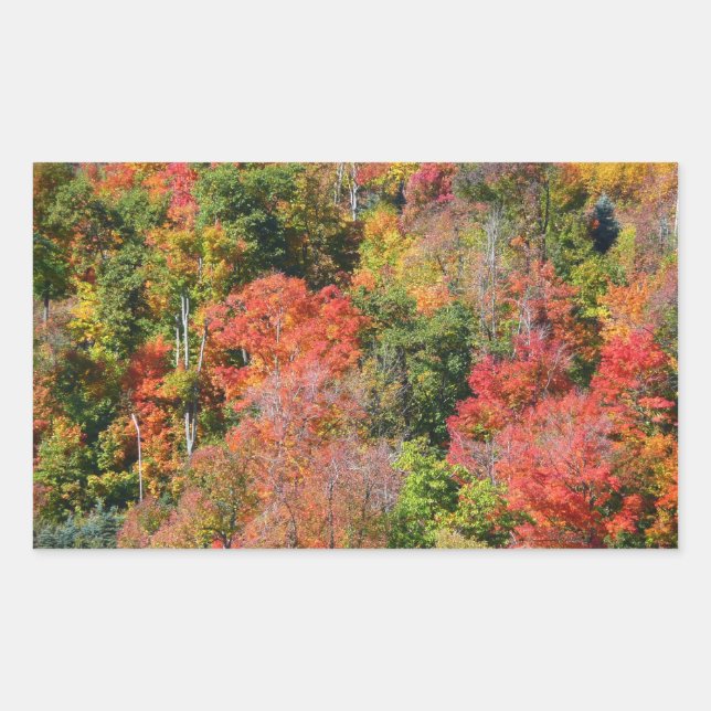 Fall Hillside Colourful Autumn Nature Photography Sticker (Front)
