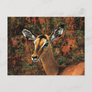 Fall Impala fantasy art Postcard