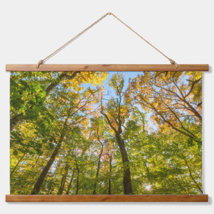 Fall in a Forest in Amesbury, Massachusetts Hanging Tapestry