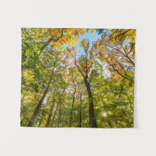 Fall in a Forest in Amesbury, Massachusetts Tapestry