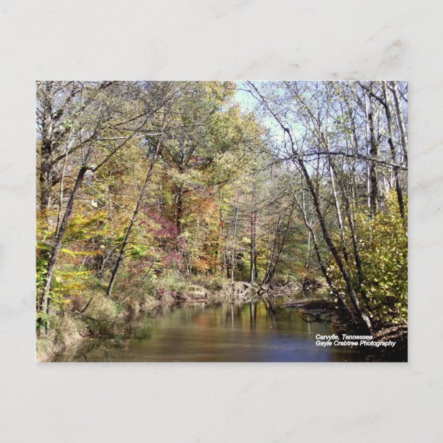 Fall in Caryville, Tennessee Postcard (Front)