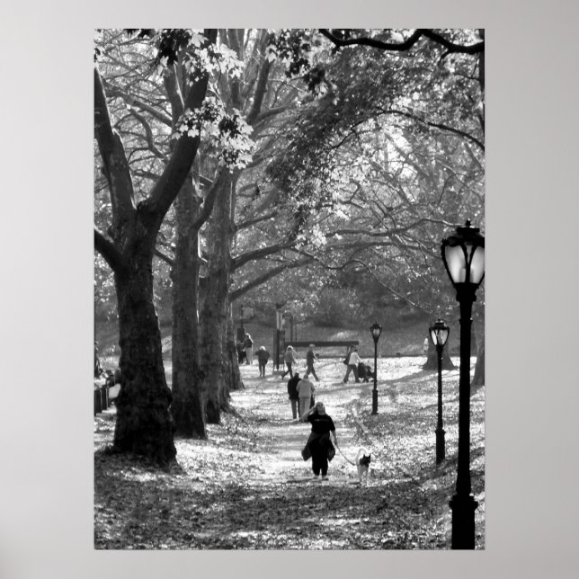 Fall in Central Park 06  25 Poster (Front)
