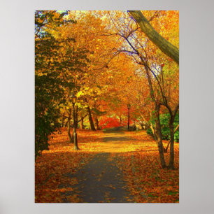 Fall  in Central Park 06  27 Poster