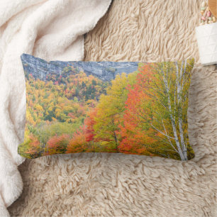 Fall in Grafton Notch State Park, Maine Lumbar Pillow