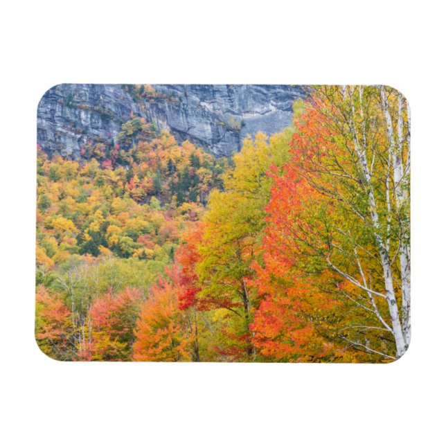 Fall in Grafton Notch State Park, Maine Magnet (Horizontal)