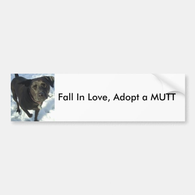 Fall In Love, Adopt a MUTT Bumper Sticker (Front)