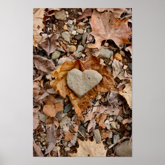 Fall in Love Poster (Front)