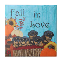 Fall in Love Rottweiler Print