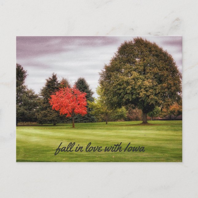 Fall in Love with Iowa Postcard (Front)
