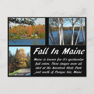 Fall In Maine Postcard