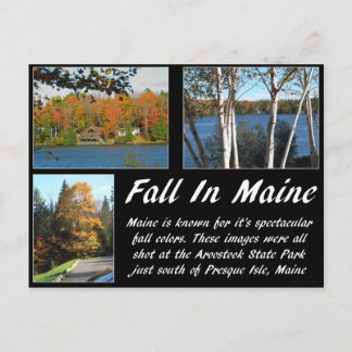 Fall In Maine Postcard
