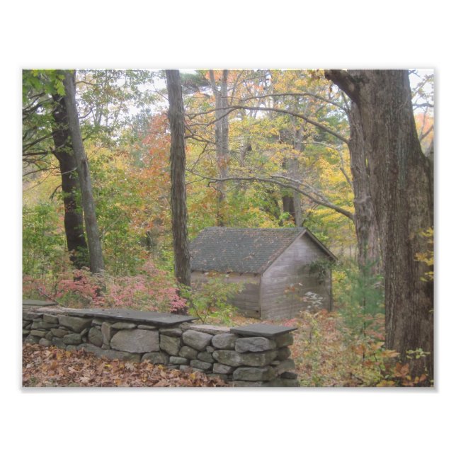 Fall In New England Photo Print (Front)