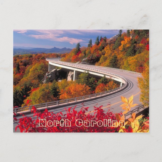 Fall in North Caroline Blue Ridge Parkway Postcard (Front)