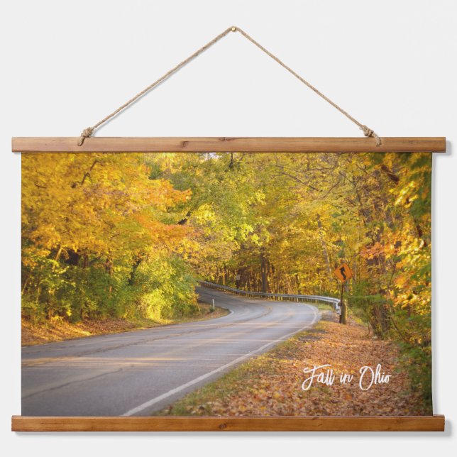 Fall in Ohio Curvy Road Autumn Foliage Hanging Tapestry (Front)