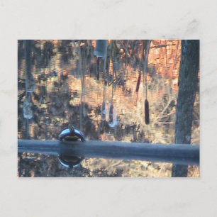 Fall in Ohio Postcard