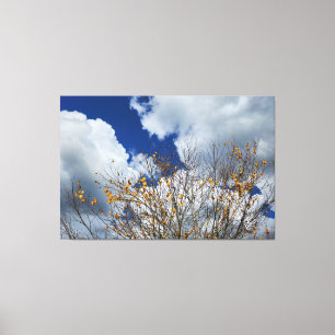 Fall in Paradise Canvas Print