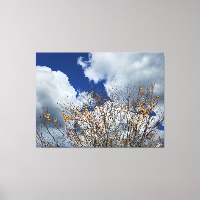 Fall in Paradise Canvas Print (Front)
