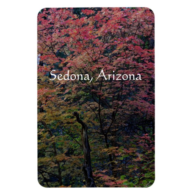 Fall in Sedona Magnet (Vertical)