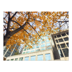 Fall in the City Photo Print
