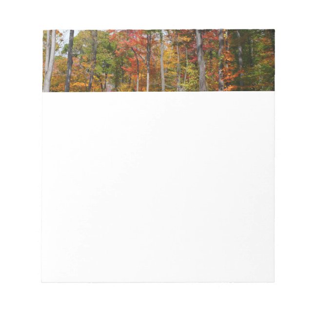 Fall in the Forest Colorful Autumn Photography Notepad (Front)