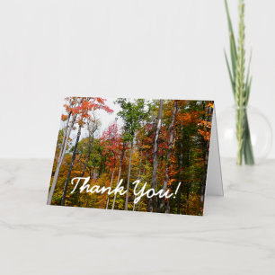 Fall in the Forest Colourful Autumn Photo Thank Yo Foil Greeting Card