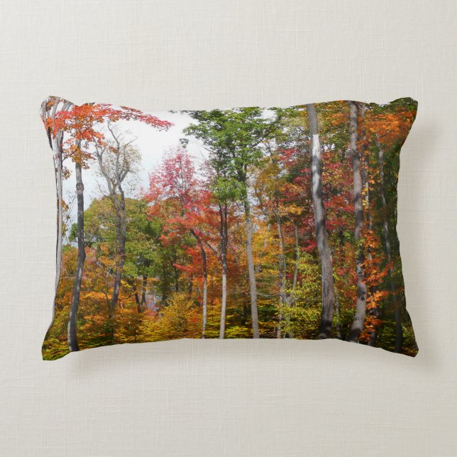 Fall in the Forest Colourful Autumn Photography Accent Pillow (Front)