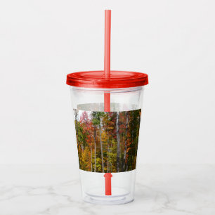Fall in the Forest Colourful Autumn Photography Acrylic Tumbler