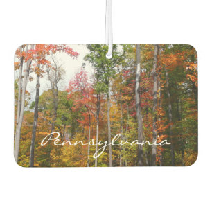 Fall in the Forest Colourful Autumn Photography Air Freshener