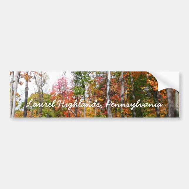 Fall in the Forest Colourful Autumn Photography Bumper Sticker (Front)