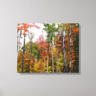 Fall in the Forest Colourful Autumn Photography Canvas Print