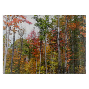 Fall in the Forest Colourful Autumn Photography Cutting Board