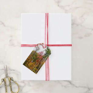 Fall in the Forest Colourful Autumn Photography Gift Tags