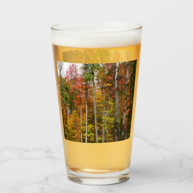 Fall in the Forest Colourful Autumn Photography Glass (Front Filled)